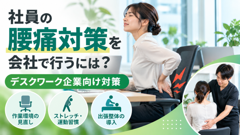 社員の腰痛対策を会社で行うには？デスクワーク企業向け対策