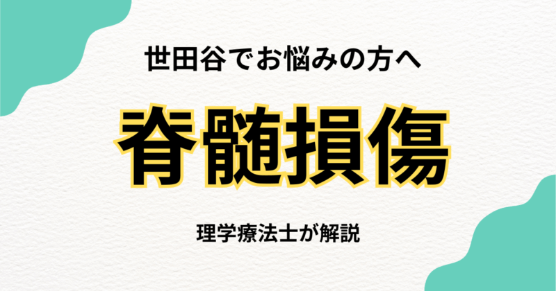 世田谷で脊髄損傷のリハビリをお探しの方へ