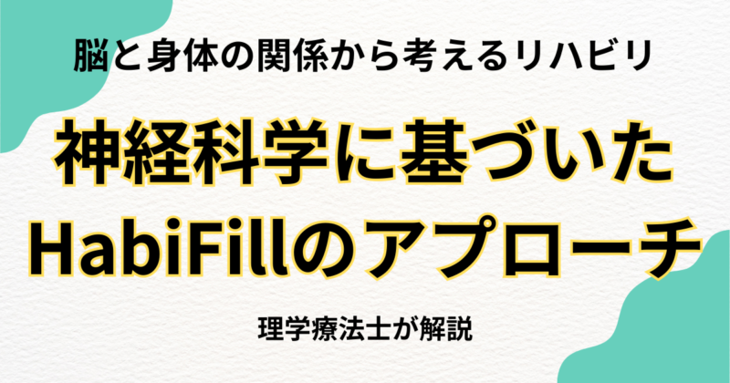 脳と身体の関係から考えるリハビリ｜神経科学に基づいたHabiFillのアプローチ